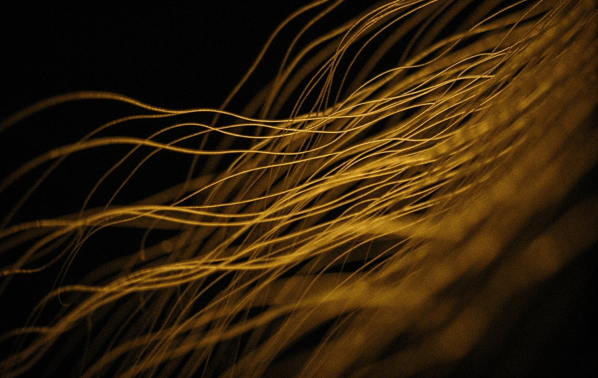 Textura orgánica